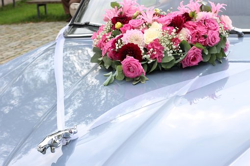 Boda, Jaguar, Coche De Boda, Automóvil