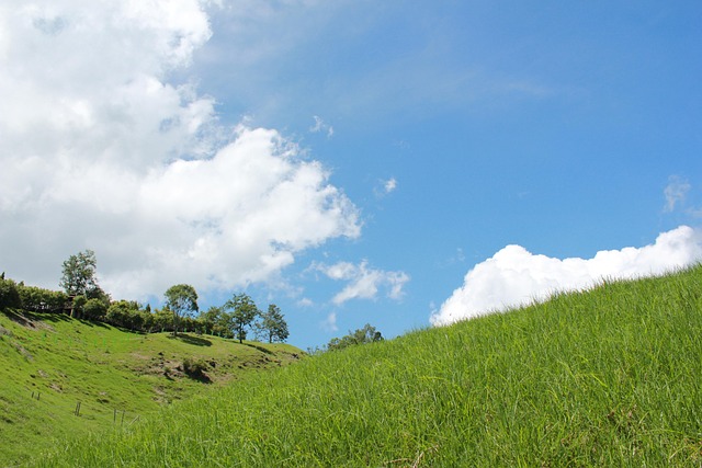Free Blue Sky Nature photo and picture
