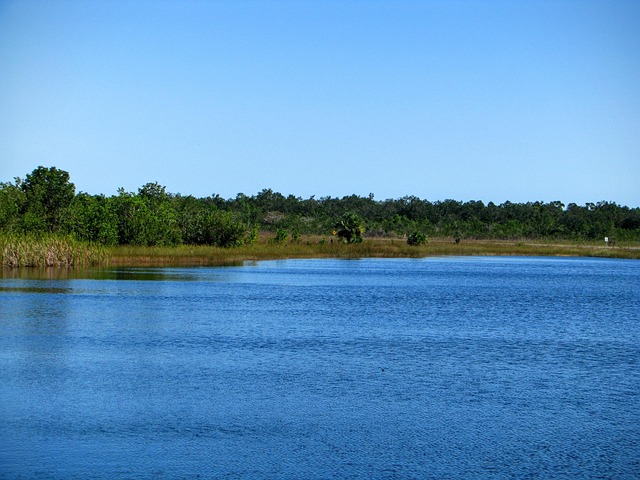 Free Florida Lake photo and picture