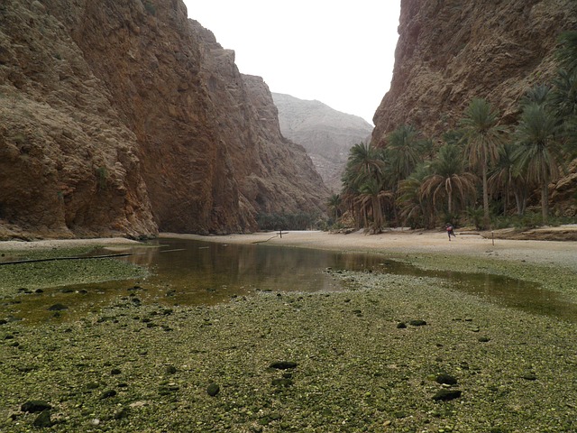 Free Wadi Oman photo and picture