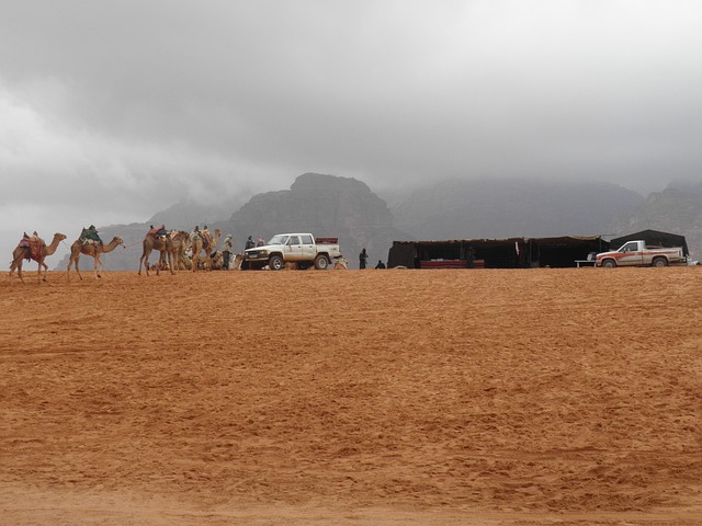 Free Wadi Wadi Rum photo and picture
