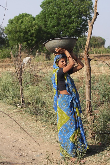 Free India Woman photo and picture