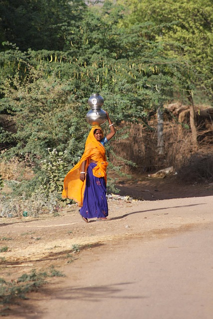 Free India Woman photo and picture
