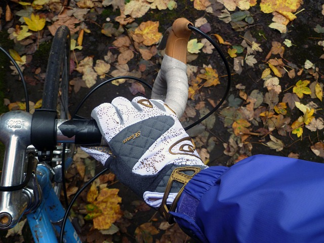 Fahrrad, Radfahren, Fahrt, Radfahrer