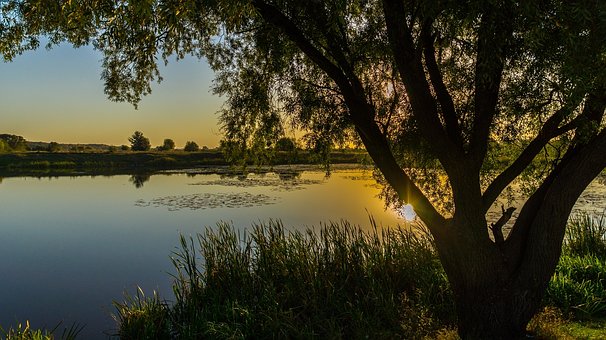 Free Kursk Morning photo and picture