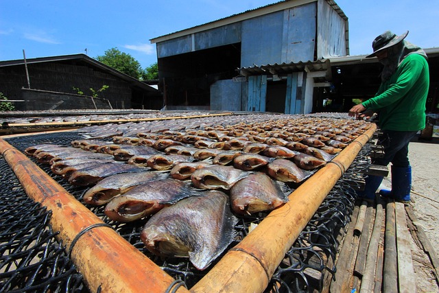 Free Freshwater Fish Fish Drying photo and picture