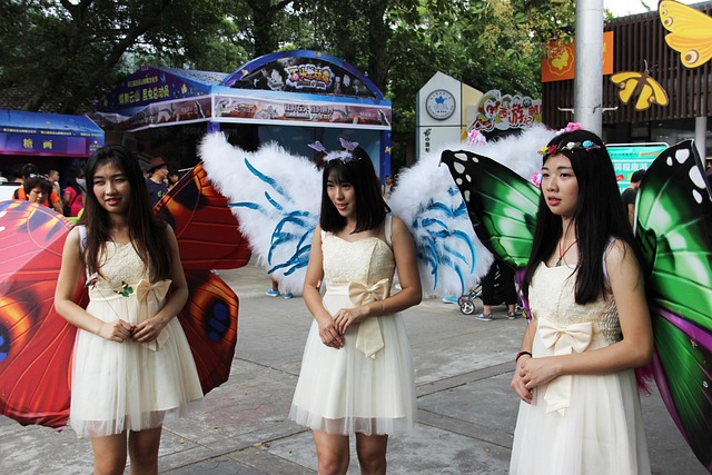 Free Butterfly Fairy Butterfly Shape photo and picture