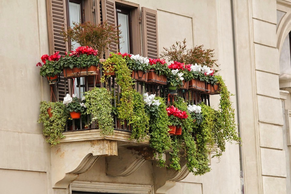 Altan balkon altankasse · gratis foto på pixabay Altan vs balkon