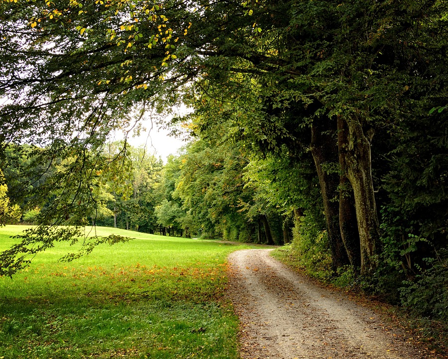Weg Feldweg Herbst Kostenloses Foto auf Pixabay Pixabay