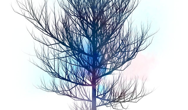 Free tree background art illustration