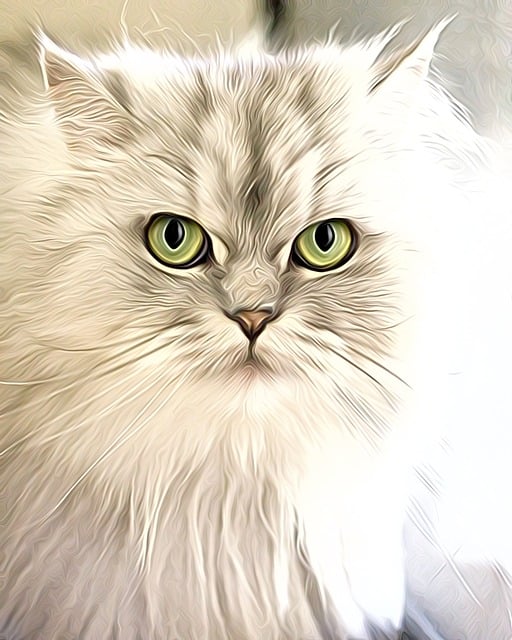Free cats eyes animal illustration