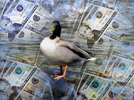 Bani, Dolar, Afaceri, Finanţa, Valută