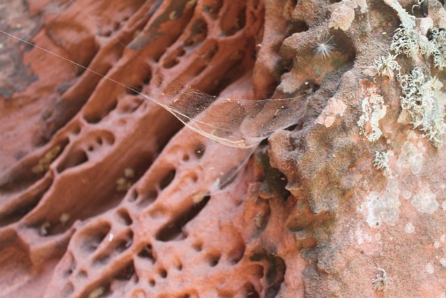 Free Alveolar Erosion Sediments photo and picture
