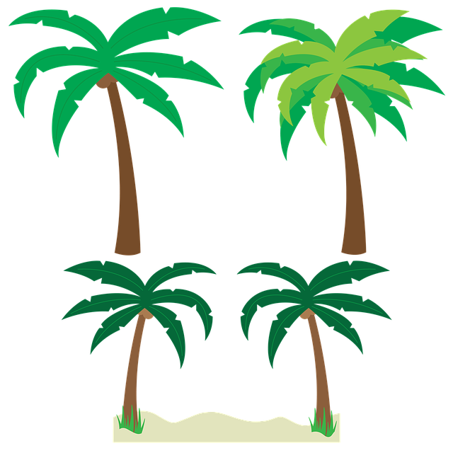 Palmen, Bäume, Palme Vektor, Tropisch
