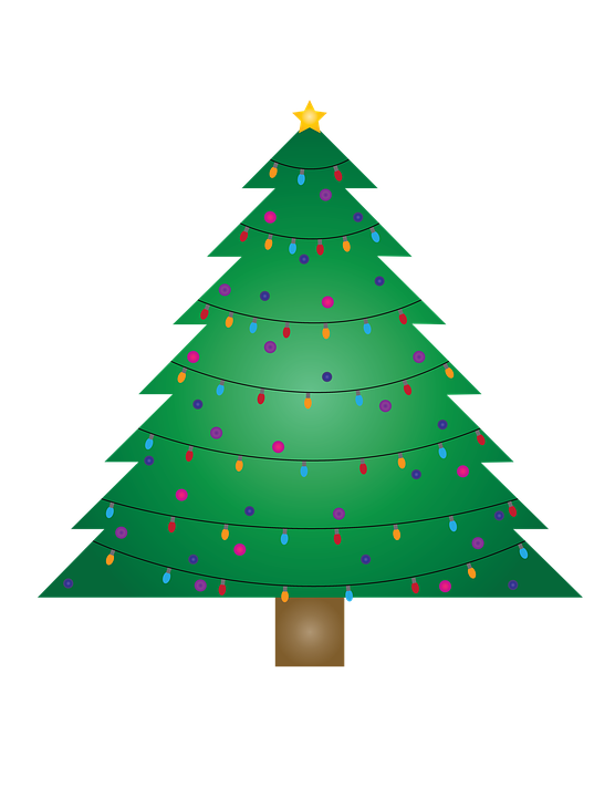 Plain Christmas Tree Cartoon