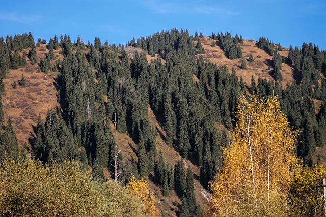 Free Mountains Autumn photo and picture