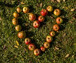 heart, apple, rush
