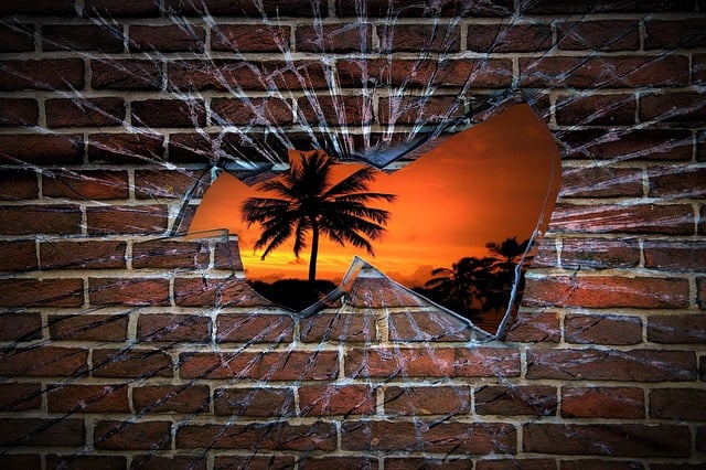 Free wall hole palm tree illustration