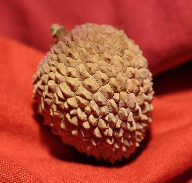 Free Lychee Litchi photo and picture