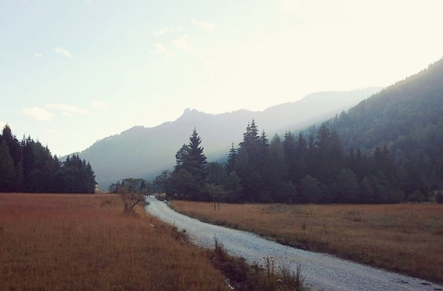 Free Road Path photo and picture
