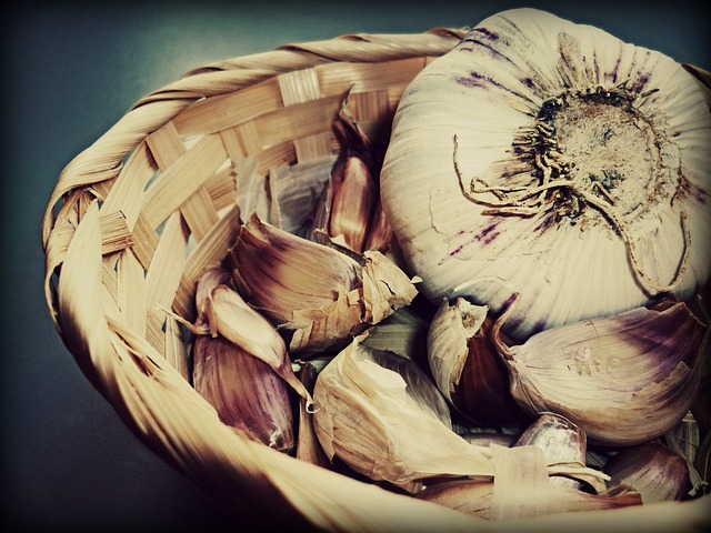 Free Vegetables Garlic photo and picture