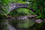 coed y brenin, bridge, landscape