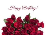 rose, flowers, red