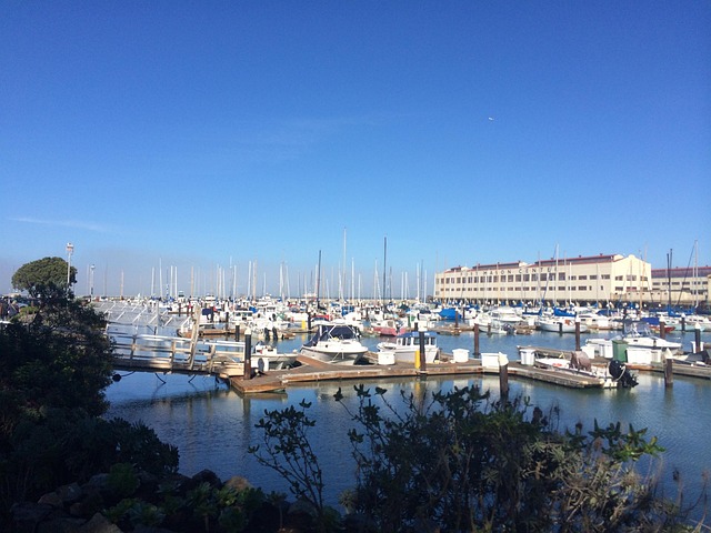 Free Port San Francisco photo and picture