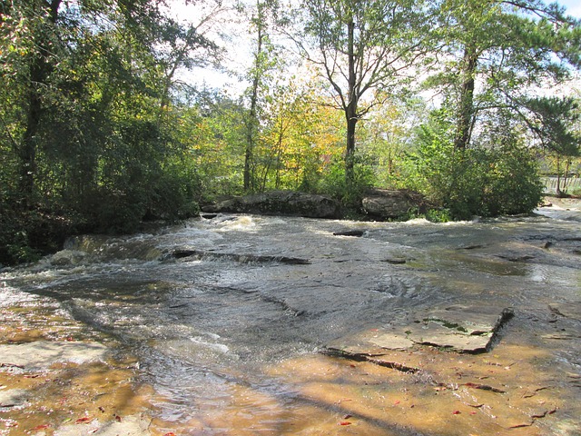 Free Water State Park photo and picture