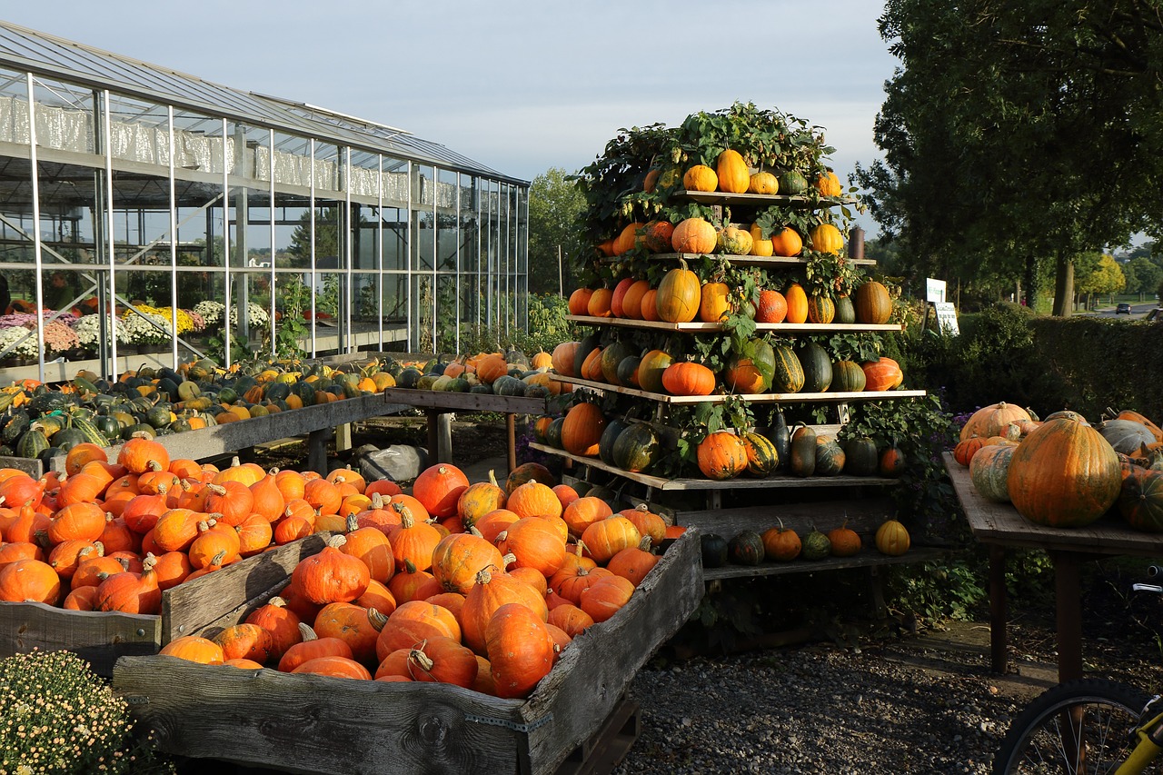 Pumpkin - free online jigsaw puzzle photo