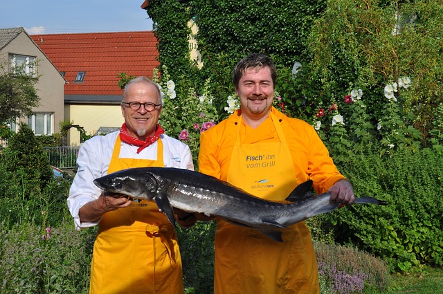 Free Cooks Fish Cook photo and picture