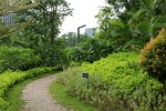path, greenway, nature