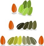 seed, bean, bias