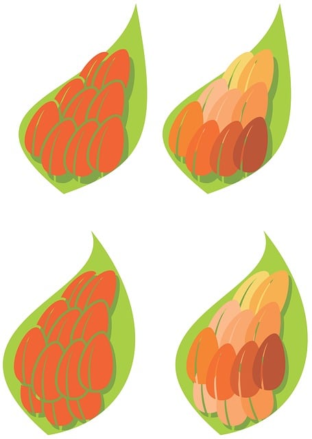 Free beans leaf green illustration