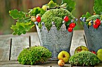 autumn, autumn decoration, decoration