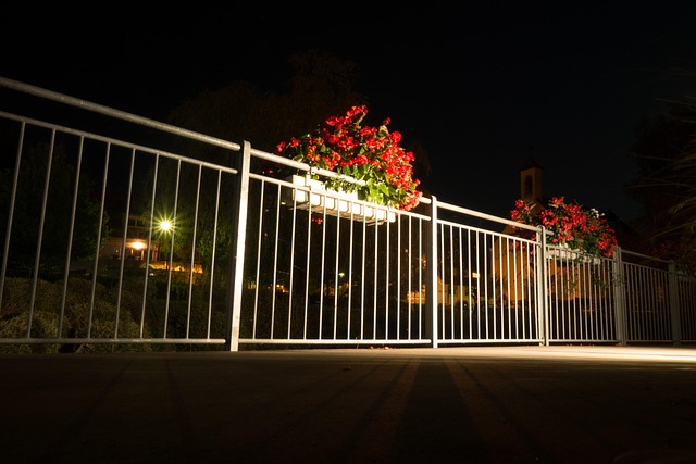 花 夜拍 栏杆 - Pixabay上的免费照片 - Pixabay