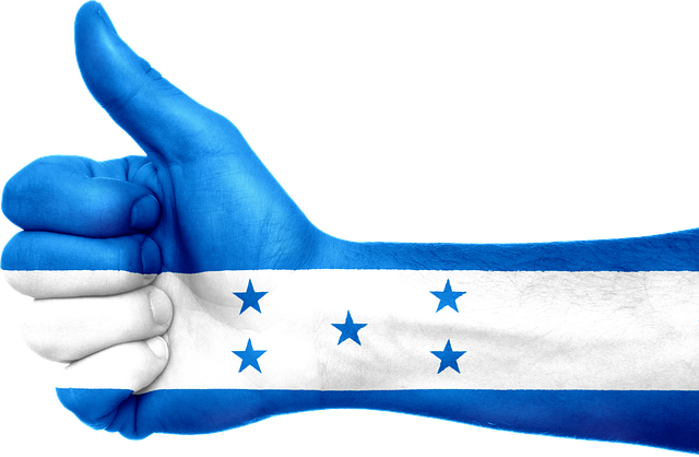 Free honduras flag hand illustration