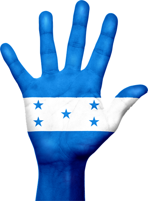 Free honduras flag hand illustration