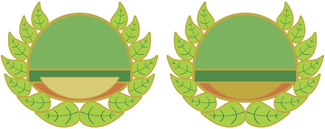 Free computer graphic nobody green illustration