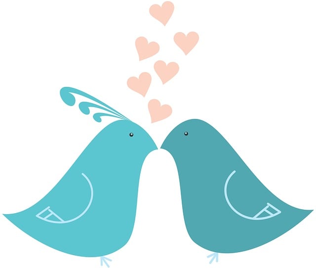 Free love heart feathers illustration