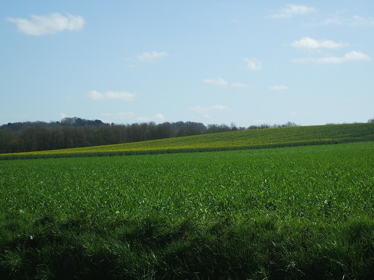 Praire Field Spring Prairie Spring The Fields Green - Free photo on Pixabay - Pixabay
