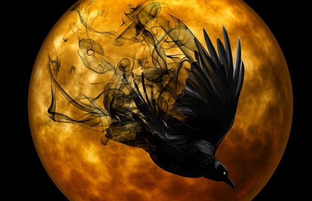 Free crow night gruesome illustration