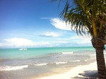 hibiscus beach, alagoas, north zone
