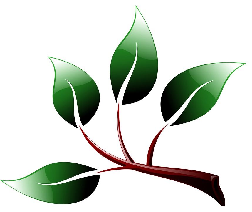 Download Branch, Ecological, Environment. RoyaltyFree Stock