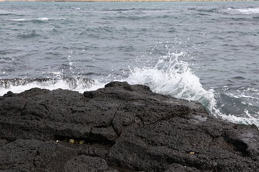 Free Waves Coast photo and picture