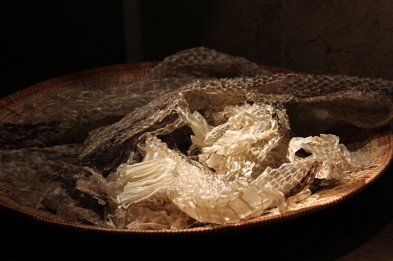 Rattlesnake - free online jigsaw puzzle photo