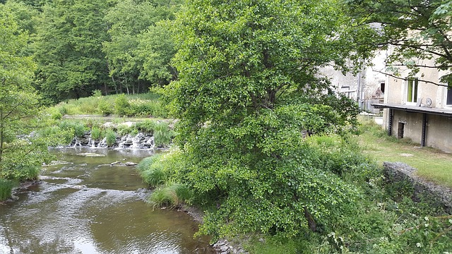 Free Water Mill photo and picture