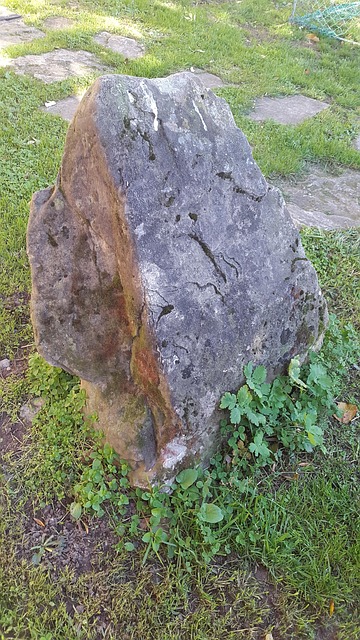 Free Stone Moss photo and picture
