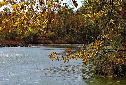 Herbstfarben, Binnensee, Wald, Bäume