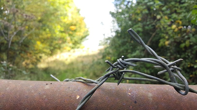 Free Barbwire Fence photo and picture